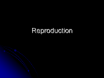 Asexual/Sexual Reproduction