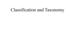 Classification and Taxonomy