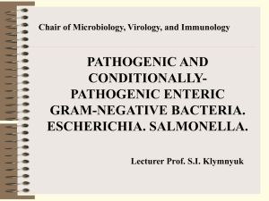 Pathogenic enteric Gram