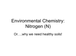 Nitrogen cycle