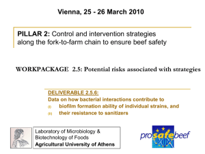 ProSafeBeef, Pillar 2, WP2.5, D2.5.6 AUA (Vienna, 25-03