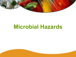 Microbial Hazards - wcsculinaryestes