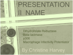 presentation_Christine