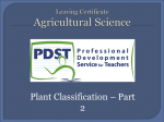 Plant Classification – Part 2