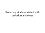 Bacteria / viral associated with periodontal disease