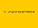 VI. Cycles in the Environment