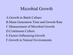 Growth in Batch Culture