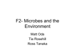 F2- Microbes and the Environment
