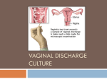 Vaginal discharge culture 1