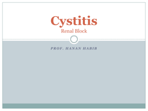 L1-Cystitis