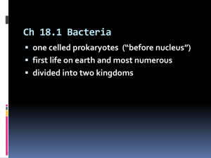 Ch 18.1 Bacteria
