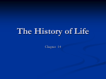 The History of Life