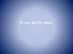 Bacterial Diseases