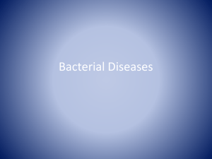 Bacterial Diseases