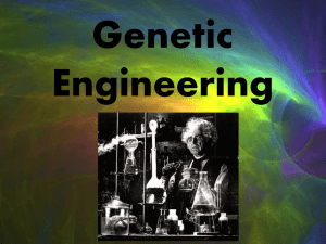LE - 7 - Genetic Engineering