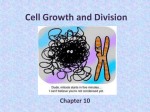 Cell Growth and Division