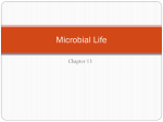 Introductory Microbiology