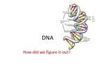 DNA - E. R. Greenman