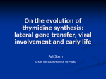 On the evolution of thymidine synthesis