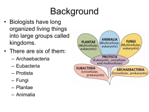 Archae and Bacteria ppt