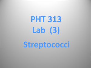 lab 2 PHT313 latest..