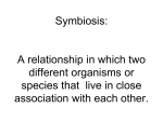 Symbiosis-1