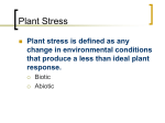 Plant Stress