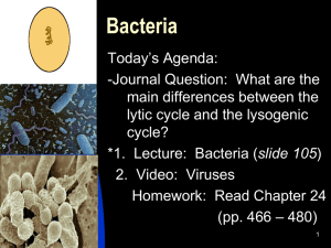 Click Here for Lecture IV (PowerPoint) "Bacteria"