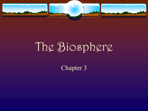 The Biosphere