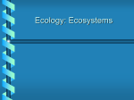 Ecology: Ecosystems