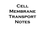 Cell Membrane Transport Notes