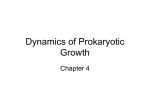 Dynamics of Prokaryotic Growth