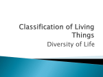Classification ppt Used in class