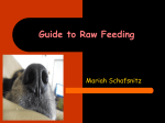 Guide to Raw Feeding