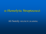 05-Hemolytic Streptococci