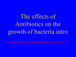 Antibiotic resistant bacteria