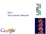 DNA Structure and history10