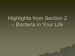 Bacteria in Your Life