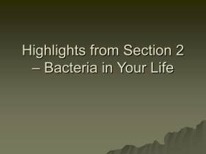 Bacteria in Your Life