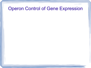 Operon Control of Gene Expression - Glebe