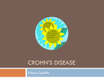 Crohn`s Disease - Embryo