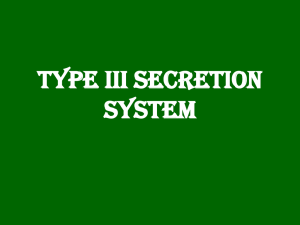 Type III Secretion System