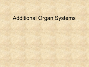 12-Additional Systems0