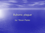 Bubonic plague - ChardonWorldHistoryTextBook