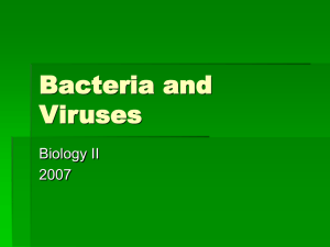 Bacteria and Viruses - kristi