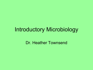 Introductory Microbiology