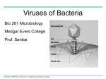 Bio-261-Chapter-13-Phages