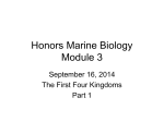 Honors Marine Biology Module 3