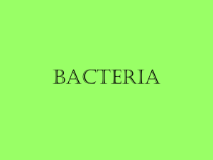 Bacteria - Brookwood High School