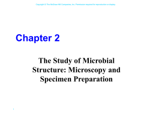 Chapter 2 The Study of Microbial Structure: Microscopy and